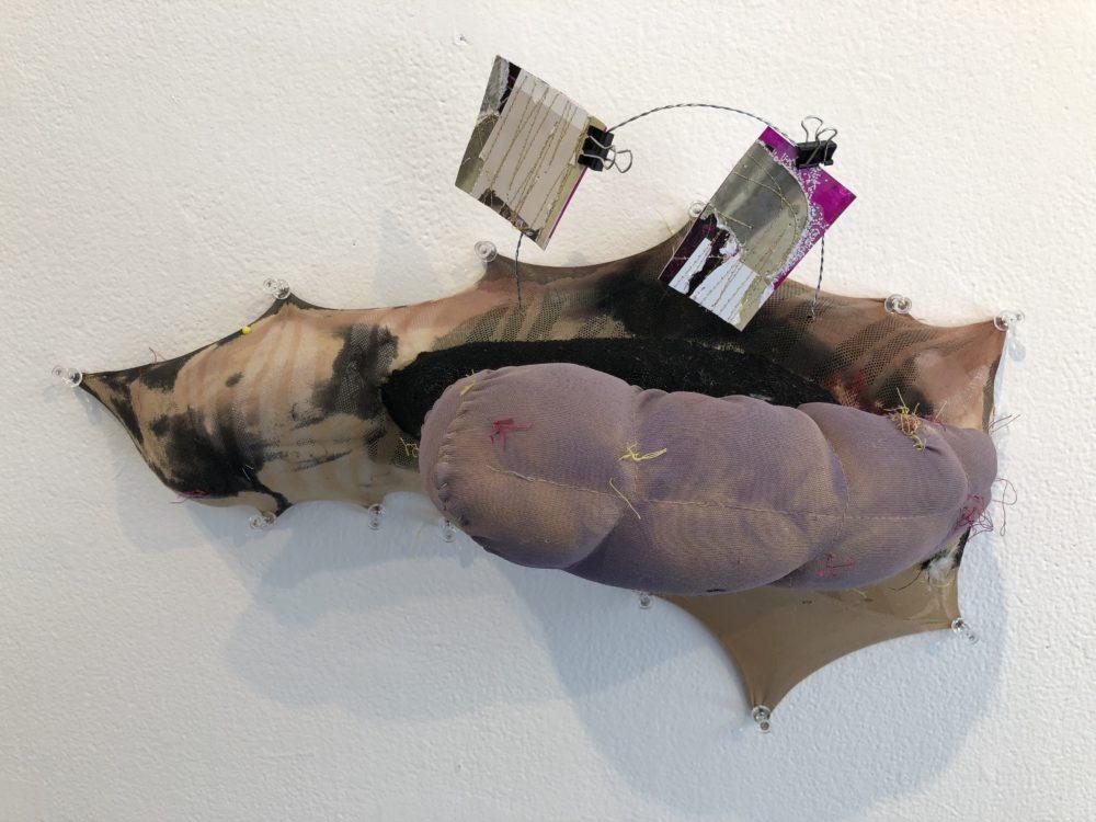 Anahita Vossoughi, Catepillar, 2018. Fabric, Plastic, Photo Collage, Ink, Wire, Pins, Found Objects, 9x18x7 inches.