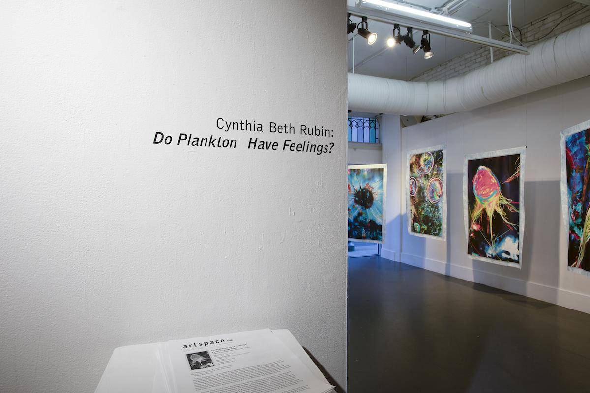 Cynthia Beth Rubin, installation view "Do Plankton Have Feelings?", 2020. Photo credit Jessica Smolinski.